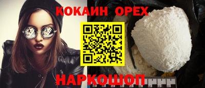 шишки Новозыбков