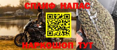 шишки Новозыбков