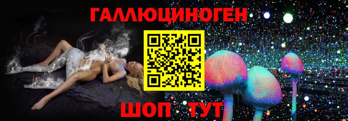 Псилоцибиновые грибы ЛСД Чайковский