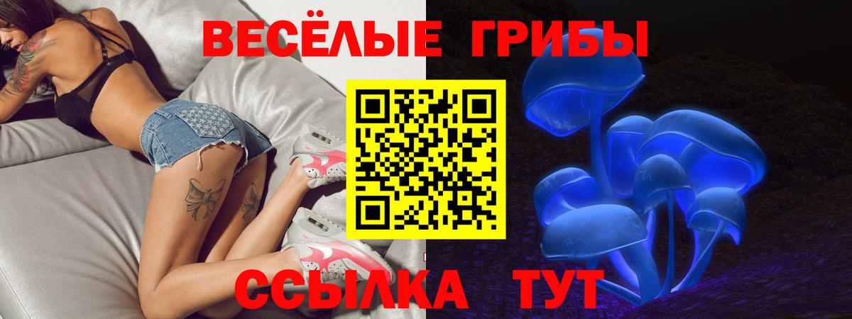 Галлюциногенные грибы Cubensis  Вход с VPN  Чайковский 