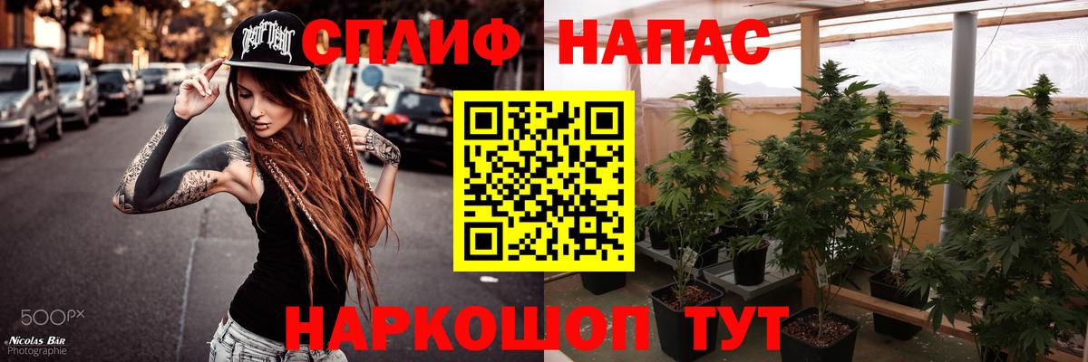 Бошки Шишки гибрид Чайковский